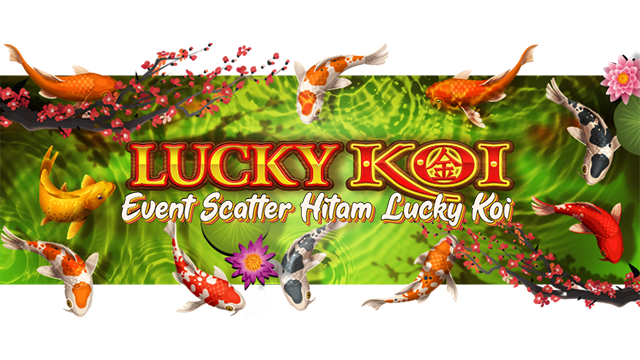 Event Scatter Hitam Lucky Koi
